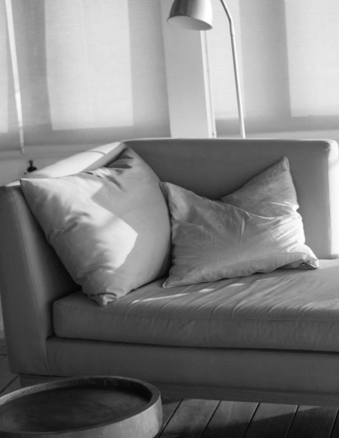 Throw pillows on a sofa in a living space.