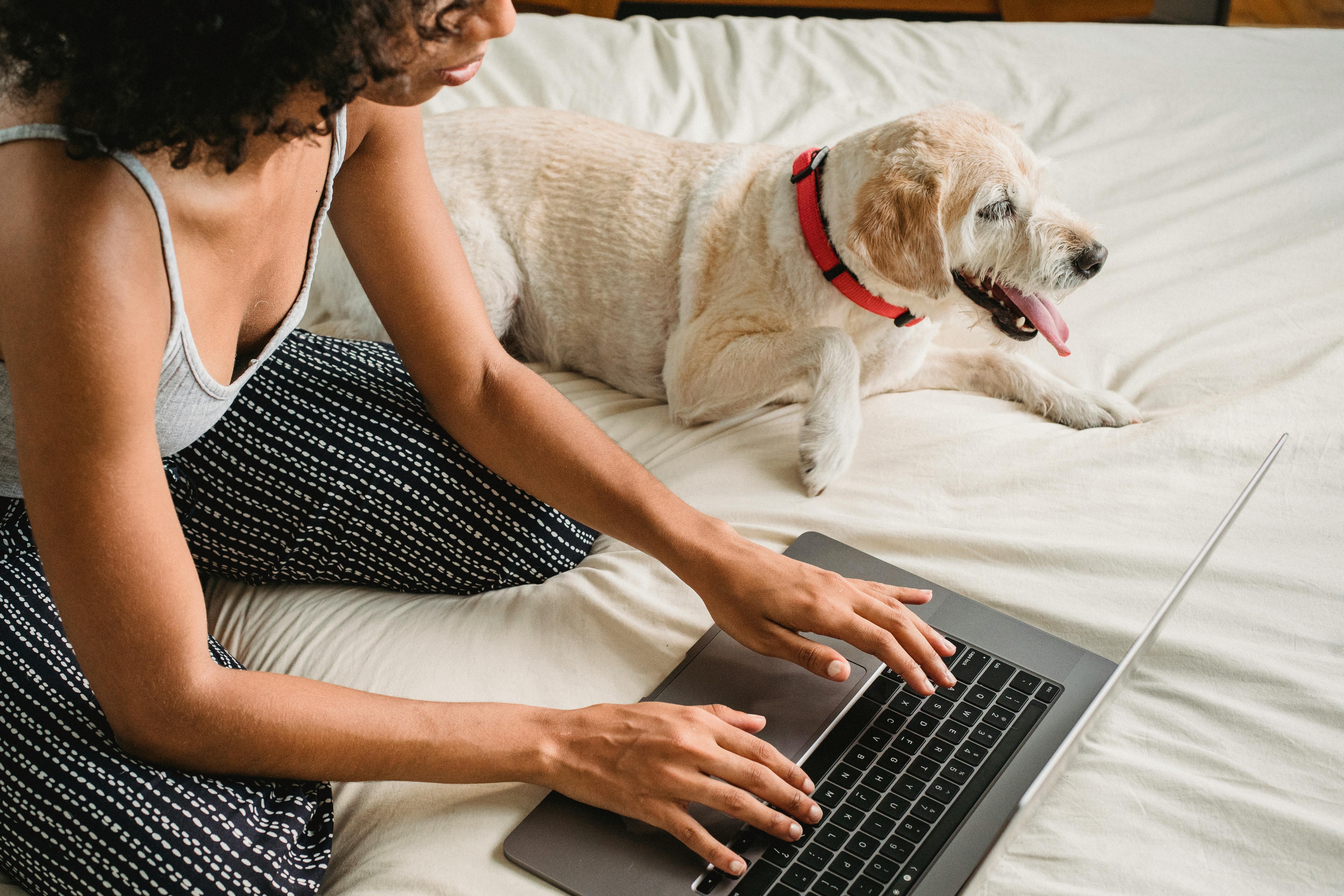 A person in pajamas working on a laptop on their bed, with their dog by their side.
